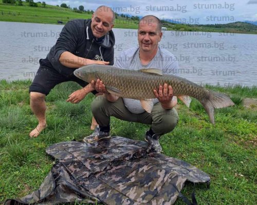 Братя благоевградчани удариха джакпота на язовир  Стойковци  с амури от 8, 14 и 25 кг, пазят в тайна стръвта
