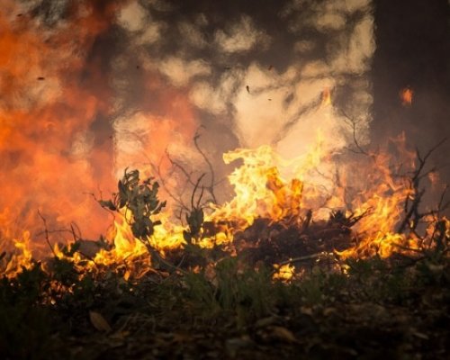 РСПБЗН-Сандански напомня някои основни правила за пожарна безопасност през лятото