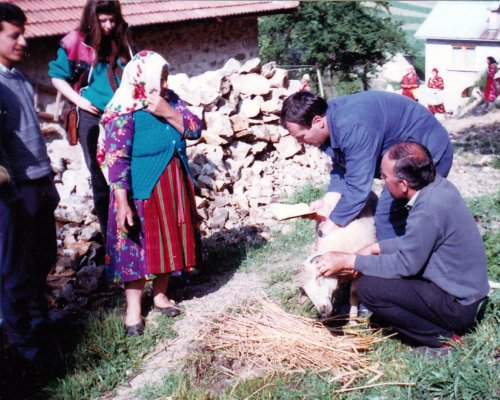 Мюсюлманите празнуват Курбан Байрам! Честит празник !