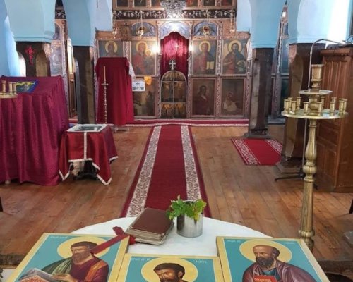 Празник е: Днес черпят Ясен, Явор, Юли и Юлиан