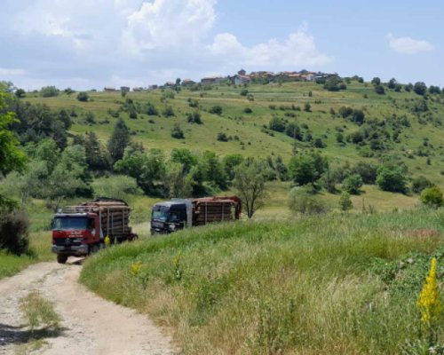 Задържаха три камиона с контрабандна дървесина край Якоруда