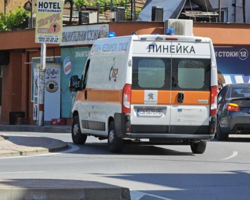 Трагедия: Дърво уби 27-годишен мъж от село Осина