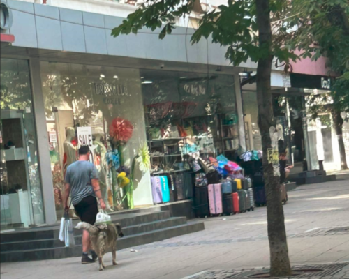 Доброто се прави тихо: Мъжът, който се грижи за кучетата в Благоевград