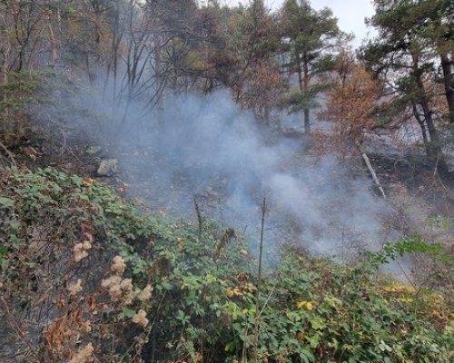 Пожарът край границата в планина Огражден е ограничен!