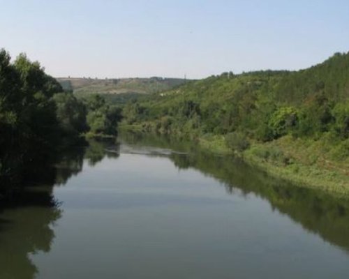 Рибар откри човешки останки край река