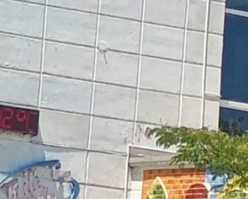 МОР: Живакът в Петрич удари 42 градуса