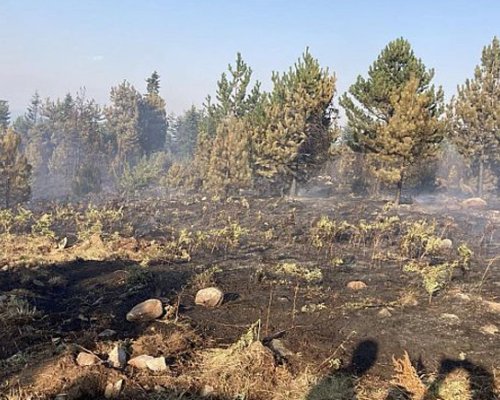 Дежурни групи следят ситуацията около местността Бетоловото