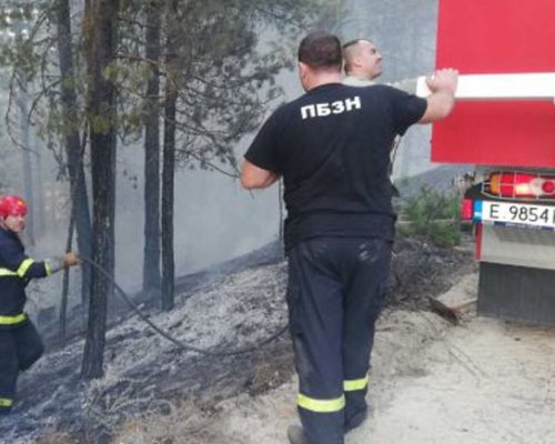 Пожар изпепели постройка и кола до пречиствателната станция в Благоевград
