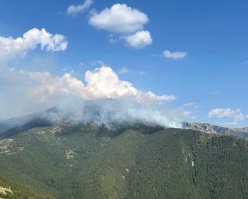 Пожарът, който пламна близо до българската граница, все още не е овладян
