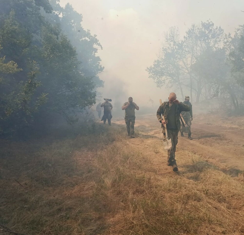 Военнослужещи участват в гасенето на пожара на гръцко-българската граница