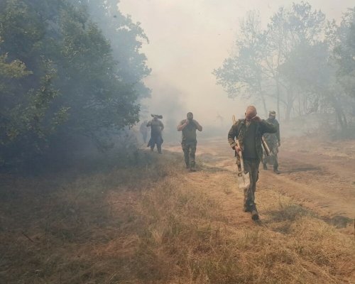 Военнослужещи участват в гасенето на пожара на гръцко-българската граница
