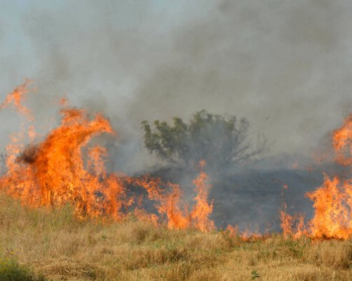 Пожар изпепели над 300 декара лозя в санданското село Левуново
