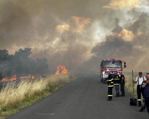 Пожарът на българо-гръцката граница е изпепелил 11 хил. дка и още гори