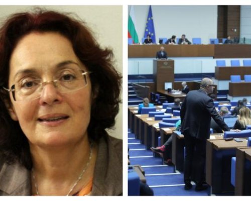 Проф. Коларова: Решението на КС е мъдро. Вече ми е неудобно да ругая лидерите на ПП