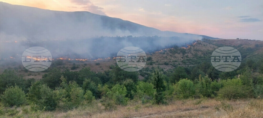 Пожарите в Северна Македония обхванаха и 12 села в източната част на страната, мъж е починал от вдишания дим