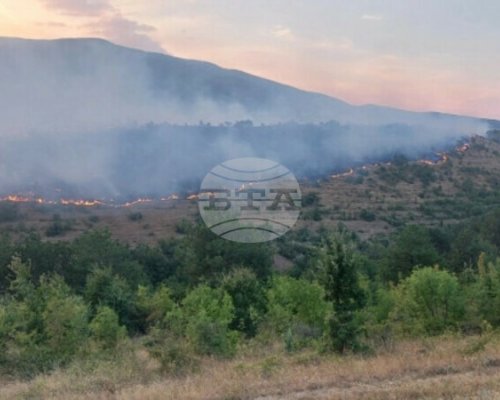 Пожарите в Северна Македония обхванаха и 12 села в източната част на страната, мъж е починал от вдишания дим