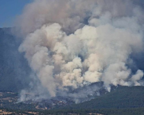 Пожарът край Сенокос се разраства, изгорели са 4 къщи, гори боровата гора