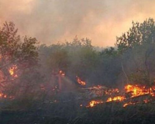 Огнеборци и багери спират пожара край границата с Гърция