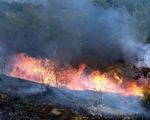 Пожар избухна в близост до полигона в Благоевград