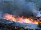 Пожар избухна в близост до полигона в Благоевград