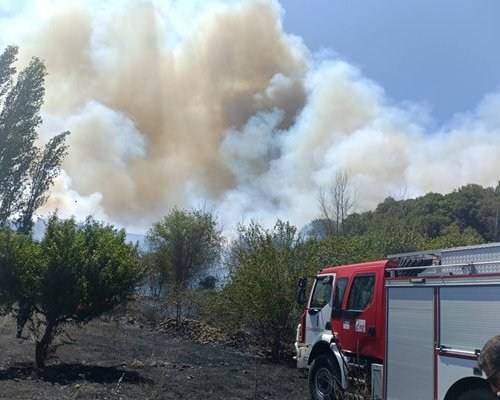 23 пожарни екипа гасят пожара в Малашевската планина