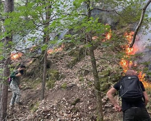 ГЕРОИ: Служители на НП  Пирин  спряха пожара под връх Шаралия!