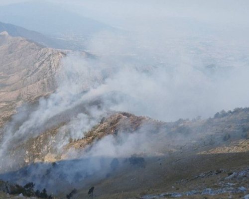 170 пожара са загасени: Продължава да гори на границата с Гърция