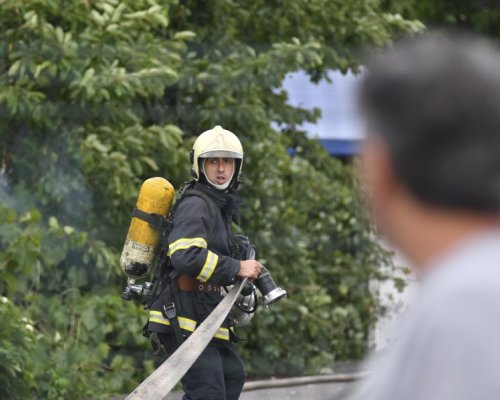Овладяха пожара под връх Шаралия в Национален парк  Пирин
