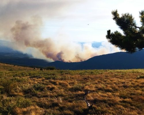 Няма опасност пожарът от Пехчево да се прехвърли на българска земя