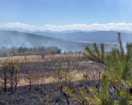Пожар в района на ДГС Самоков заплашва село Алино