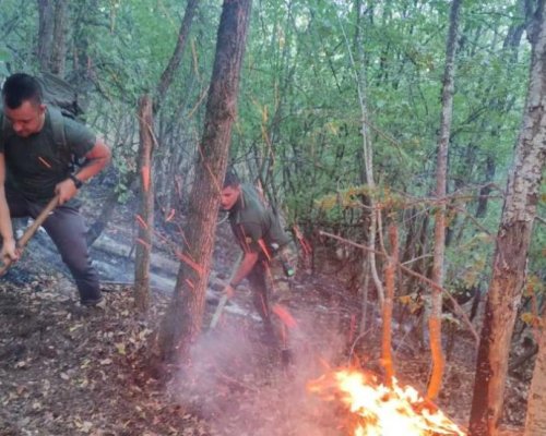 25 дни на борба с пожара на българо-гръцката граница (СНИМКИ)