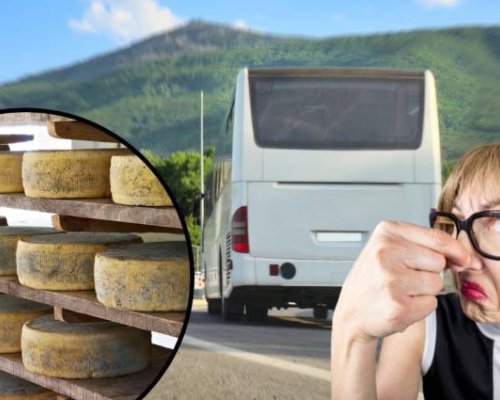 ИЗЛАГАЦИЯ: В Германия заловиха 250 кг развалено сирене в български автобус