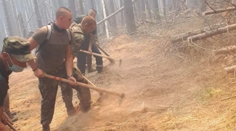 Локализираха пожара край Елешница