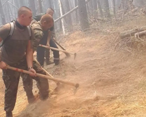 Локализираха пожара край Елешница