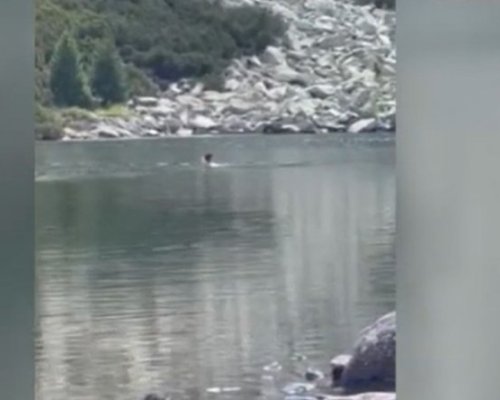 След поредното къпане в езеро в Рила : Забранено е, но табели няма