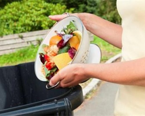 Българинът изхвърля по 100 кг храна годишно