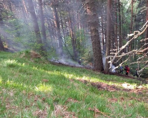 Пожар гори във високата част на Рила планина