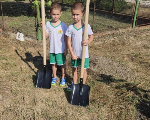 Близнаците Ивайло и Йоан Памуклийски засадиха първото дърво в алеята на младите фиданки в Симитли