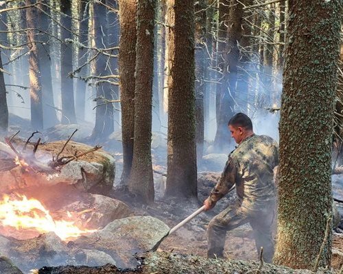 60 души, хеликоптер и тежка техника и гасят пожара под Черни връх в Рила