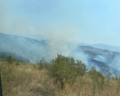 Пожарът в района на село Виногради е локализиран