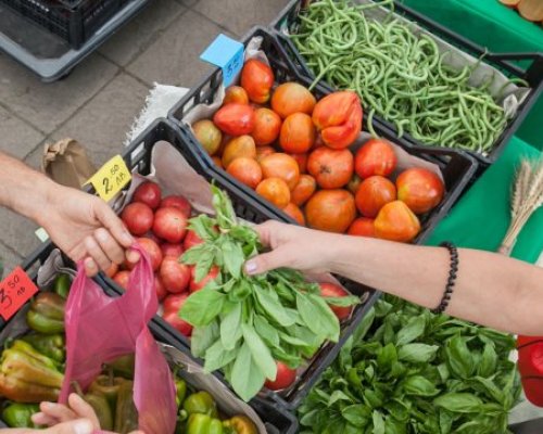 Чушки, зеле и салата поскъпват в разгара на приготвянето на зимнина