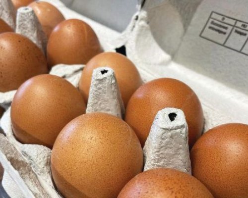 България ще поиска от ЕК забрана за внос на яйца с произход Украйна