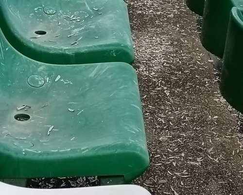 Грозна гледка на стадион Христо Ботев, кой е виновен?