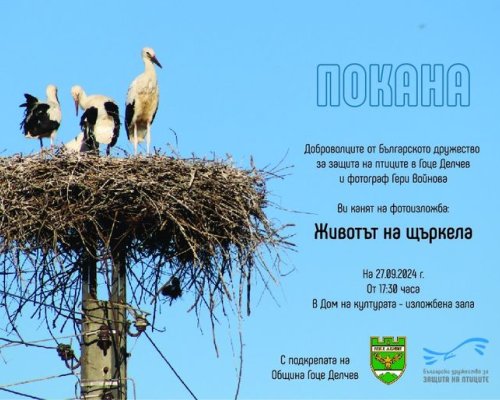 Фотоизложба  Животът на щъркела в Гоце Делчев