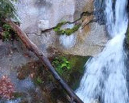 Експерти измериха колко е висок водопадът край парка за мечки над Белица