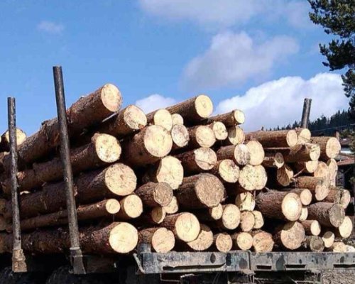По-евтини дърва за огрев тази зима