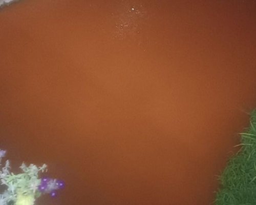 РИОСВ-София разбра кой е виновен за кафявата вода на река Струма