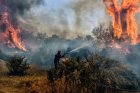 Голям пожар в Санданско:  Гори землището около с. Враня