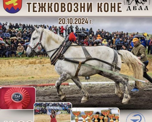 Киноложка изложба на българско овчарско куче и Шампионат на тежковозни коне в Разлог