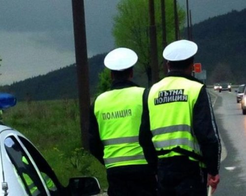 Специализирана полицейска акция в Пиринско
